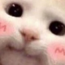 blushcat Emoji