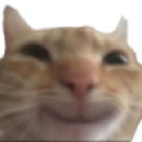 catsmile