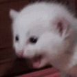 aaaaaa Emoji