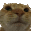 catno Emoji