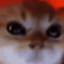 angrycat Emoji