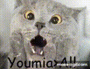 youmia Emoji