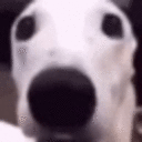 shivermet_