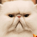 Pizza Cat Emoji