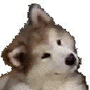 confusedd_