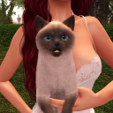 sunsie's Icon